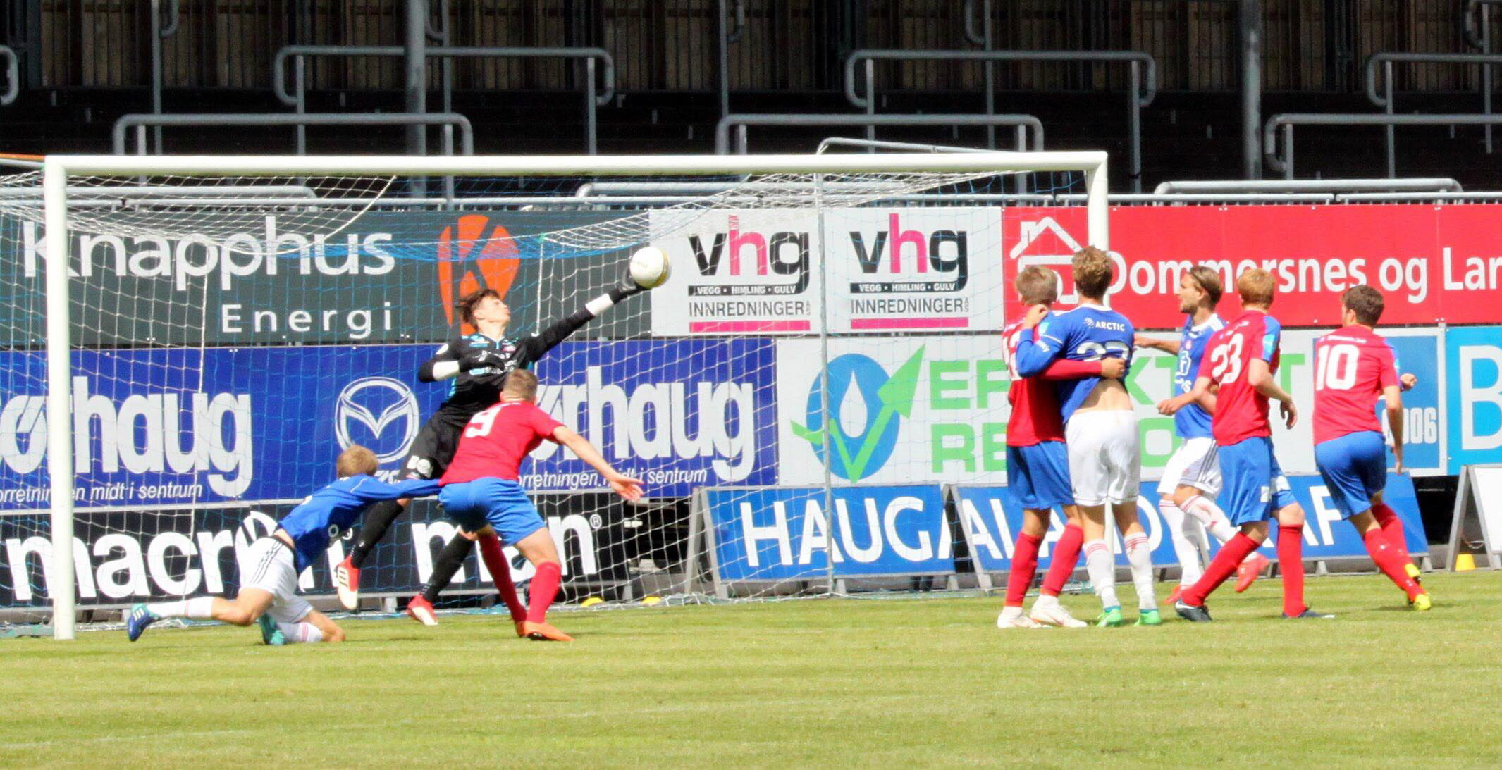 61169160_366191834102285_2896095292346597376_n